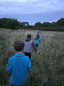 Beavers exploring hampton Heath